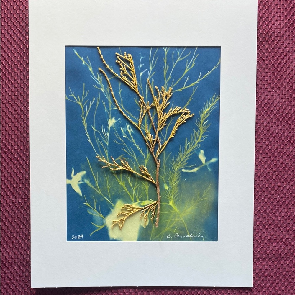 Expressions of nature original